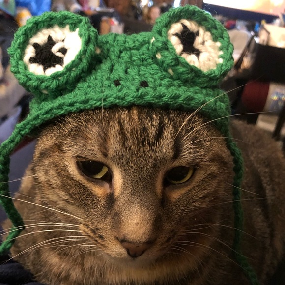 Hand Crafted Other - Frog Hat
